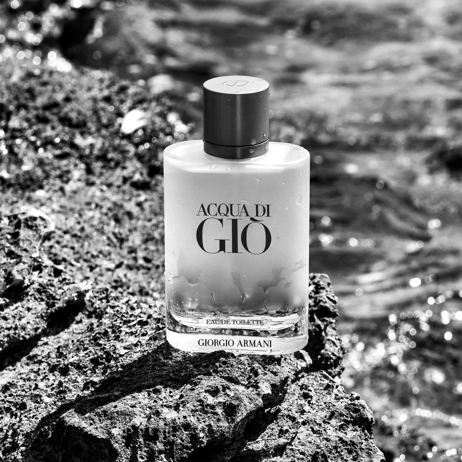 Giorgio Armani Giorgio Armani Acqua di Gio Eau de Toilette 100 ml — immagine 3