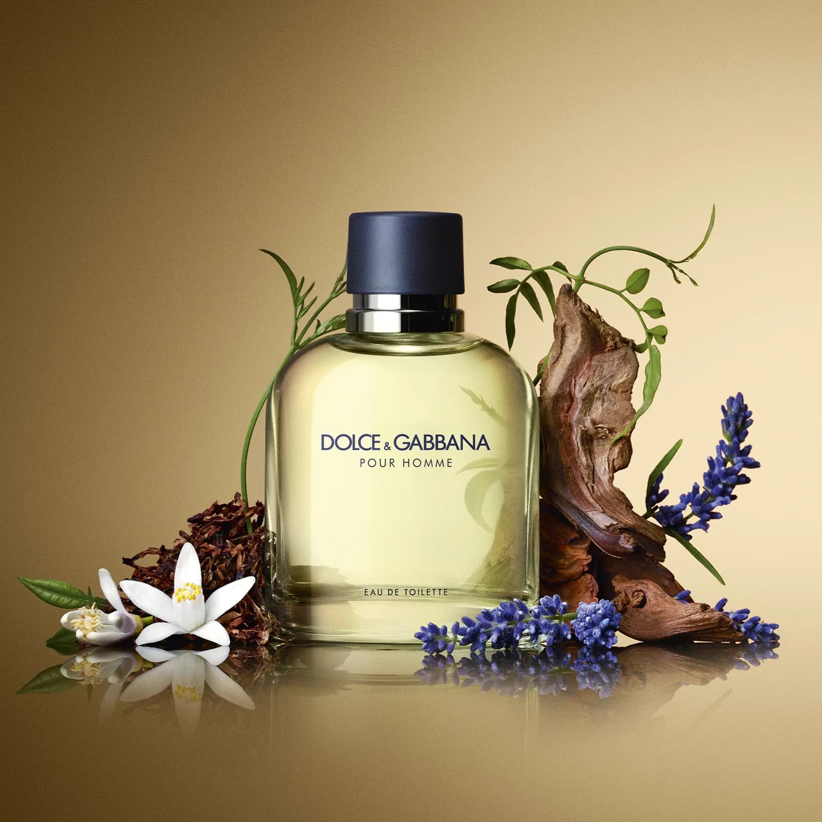 Dolce & Gabbana Dolce & Gabbana Pour Homme Eau de Toilette 125 ml — immagine 3